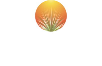 Central Desert